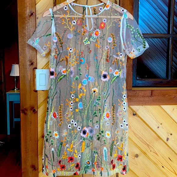 Dex Dresses & Skirts - Such whimsy! Sheer Floral dress